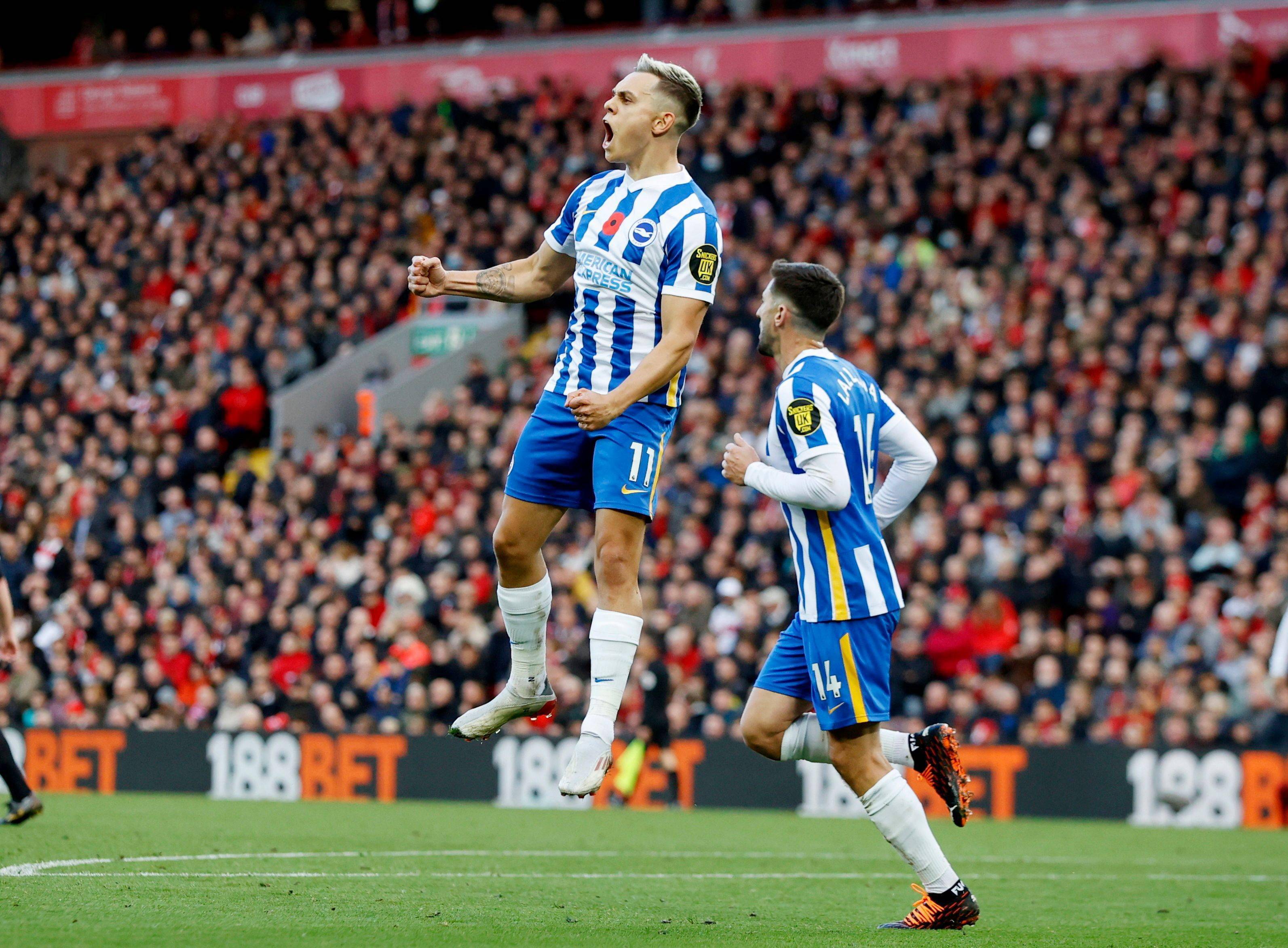 业内人士分 业内人士分